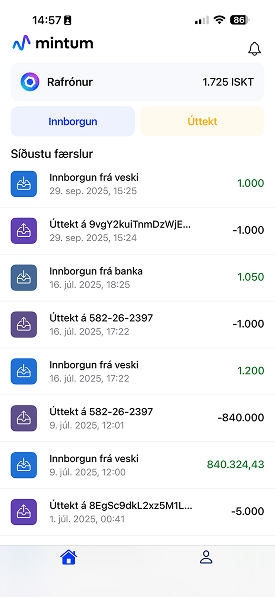 Mintum mobile app interface